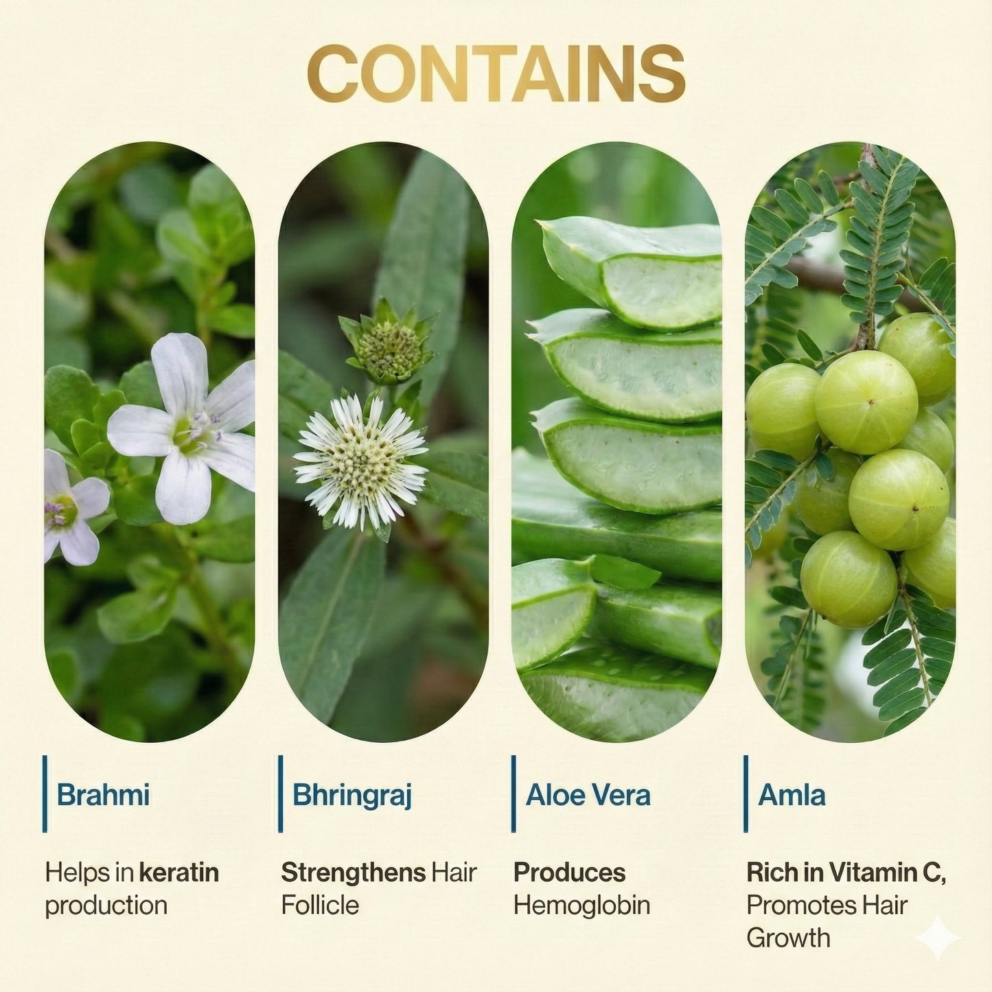 Chamak's Kesha Pro Ayurvedic Capsules 60 Caps – Herbal Hair Fall Control & Hair Growth Formula with Bhringraj, Amla & Brahmi – Natural DHT Blocker for Men & Women